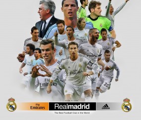 开云官方平台-孤星独耀，努涅斯压制级发挥，德国战车在勒沃库森的别样制霸