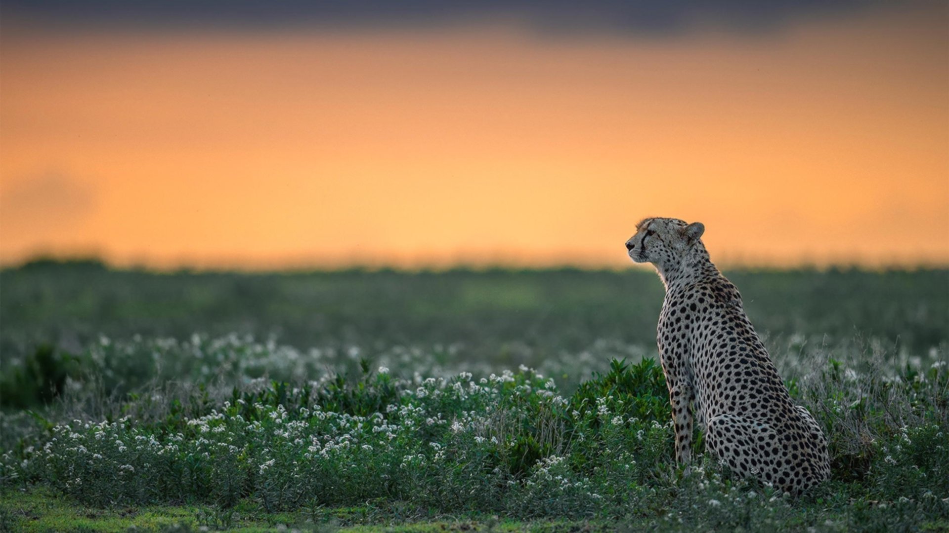 世界排名争夺战焦点战，公牛爆冷太阳，改写联盟格局